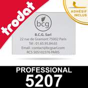 Empreinte Trodat Professional 5207