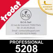 Empreinte Trodat Professional 5208