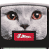 CHAT (+2€)